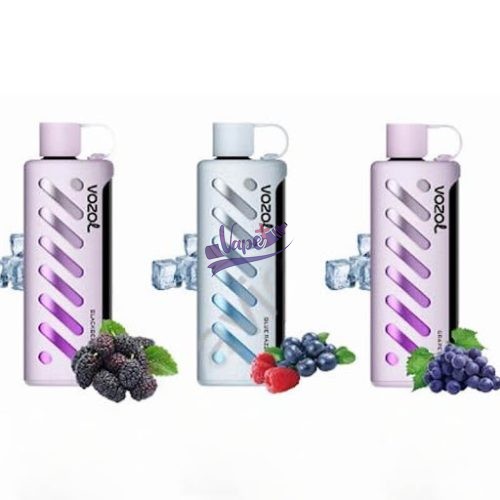 ویپ ۲۵۰۰۰ پاف وزول | VOZOL GEAR SHISHA 25000 Puffs Vape