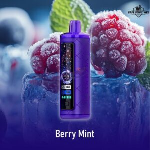 ویپ یکبار مصرف هندوانه آدامس بادکنکی ۱۰,۰۰۰ پاف انتو | ONTO Watermelon Bubble Gum